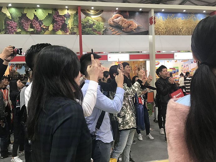 互動游戲，大屏互動游戲，手機互動游戲，小游戲定制，互動游戲開發(fā)